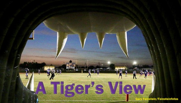 A view from the Tigers' mouth